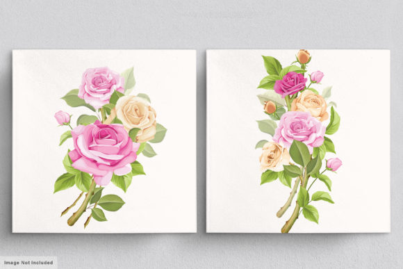 Download Beautiful Roses Hand Drawn Illustrations - Illustration Collection