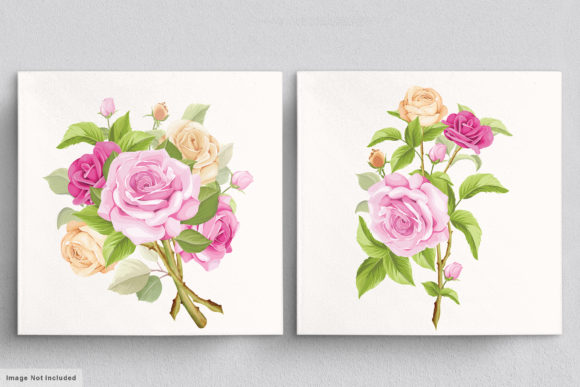 Download Beautiful Roses Hand Drawn Illustrations - Illustration Collection