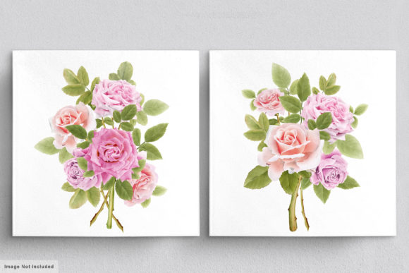 Download Beautiful Roses Hand Drawn Illustrations - Illustration Collection