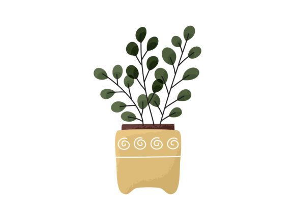 Download Leaves Vase Modern House Plant Potted - House plant Collection