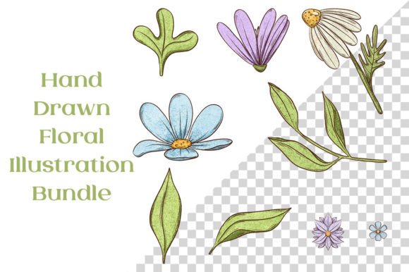 Download Cute 9 Floral Hand Drawn Illustrations - Illustration Collection